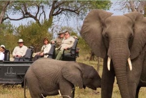 4 Day Kruger National Park Private Safari From Johannesburg
