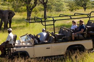4 Day Kruger National Park Private Safari From Johannesburg