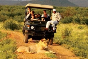 4 Day Kruger National Park Private Safari From Johannesburg