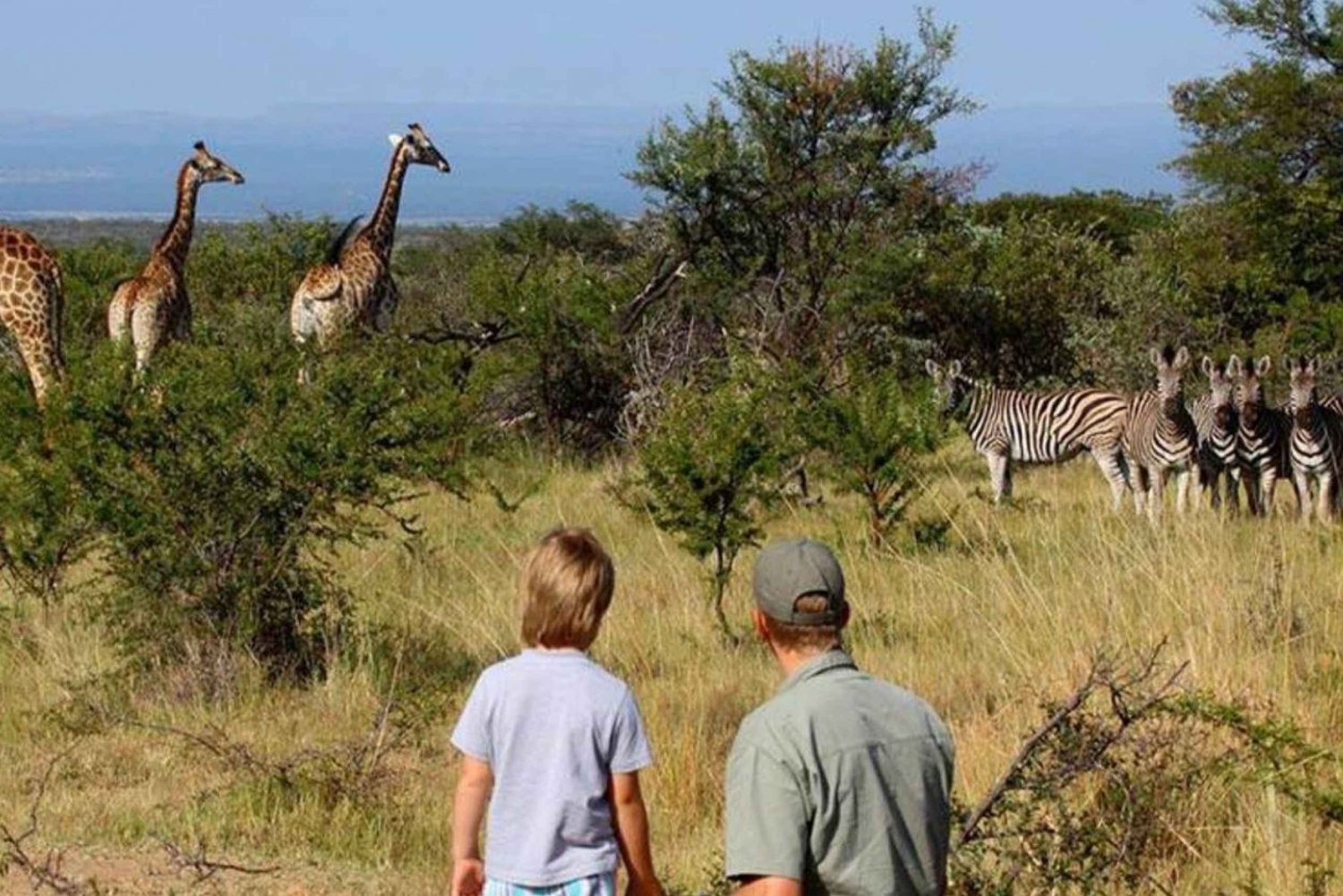 4 dagars safari i Kruger nationalpark från Johannesburg