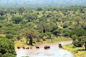 4 Day Kruger National Park Tour From Johannesburg & Panorama