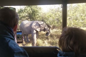 Safari di 4 giorni nel Parco Kruger all Inclusive da Johannesburg!