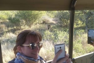4 dagars safari i Krugerparken med all inclusive från Johannesburg!
