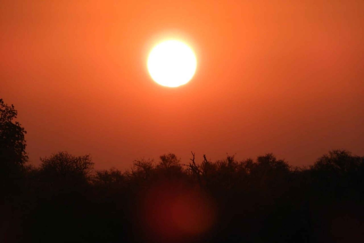 Safari di 4 giorni nel Kruger Park e nel Manyeleti