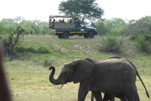 Safari di 4 giorni nel Kruger Park e nel Manyeleti