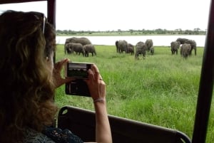 Safari di 4 giorni nel Kruger Park e nel Manyeleti