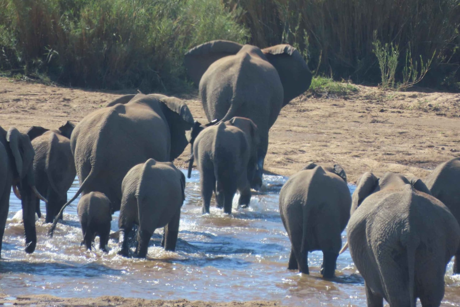 4 dias de safari no Parque Kruger e na Rota Panorâmica