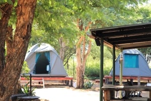 4-dagers Pilanesberg Tlou Tented Safari