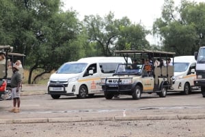 4-dagers Pilanesberg Tlou Tented Safari