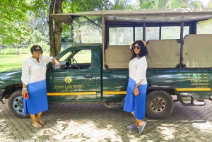 4-dages oplevelse med overnatning på Panoramaruten & Safari