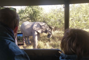 5 dages all inclusive Kruger Safari & Panorama Tour fra JHB