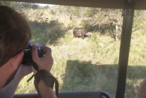 5 dages all inclusive Kruger Safari & Panorama Tour fra JHB