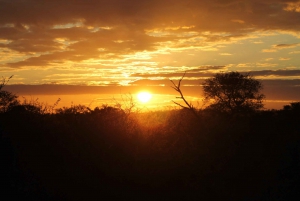 5 Day all inclusive Kruger Safari & Panorama Tour from JHB