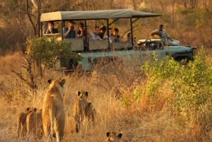 5-dagers Simbavati George Camp, (Greater Kruger) All-inclusive