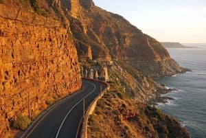 5 päivän Etelä-Afrikan kiertomatka: Kapkaupunki, safari ja Garden Route