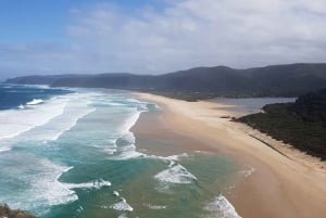 5 päivän Etelä-Afrikan kiertomatka: Kapkaupunki, safari ja Garden Route