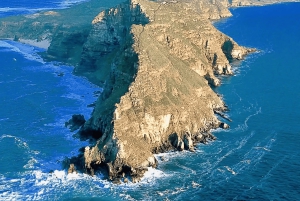 5-tägige Südafrika-Tour: Kapstadt, Safari und Garden Route