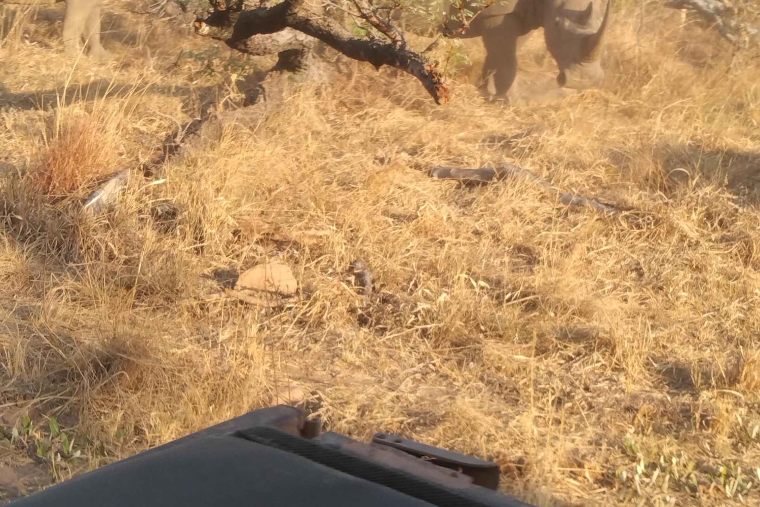 Сафари-тур на 5 дней 4 ночи в Мадикве и Пиланерсбеге