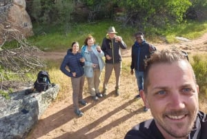 5 dias 4 noites de tour noturno de safari em Madikwe e Pilanersbeg