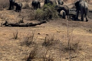 5 dias 4 noites de tour noturno de safari em Madikwe e Pilanersbeg