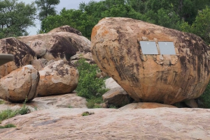 6 päivää Johannesburg ja Krugerin kansallispuisto Tour