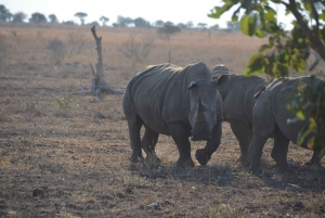 Alles incl. 4 Daagse Kruger Zuid naar Centraal vanuit Johannesburg