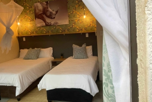 All incl. 4 Day Kruger South to Central from Johannesburg