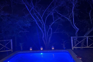 All incl. 4 Day Kruger South to Central from Johannesburg