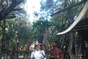 Apartheid Museum: En uppslukande historisk rundtur och upplevelse