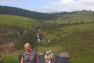 Apartheid Museum: En uppslukande historisk rundtur och upplevelse