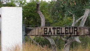 Bateleur Bushveld Camp