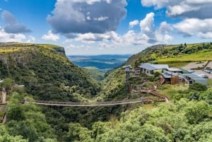 Niedroga wycieczka safari „Kruger & Panorama All-Inclusive” z Johannesburga