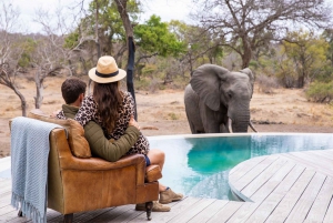 Johannesburg: 5-Day Classic Kruger National Park Safari