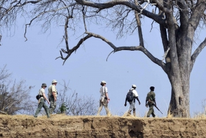 Johannesburg: 5-Day Classic Kruger National Park Safari