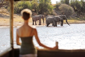 Johannesburg: 5-Day Classic Kruger National Park Safari