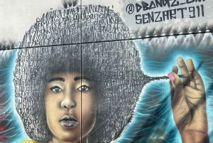 Tour de contrastes en Johannesburgo