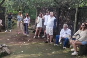 Cradle of Humankind and Lesedi Cultural Village