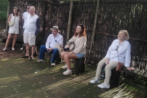 Cradle of Humankind and Lesedi Cultural Village