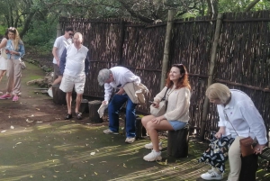 Cradle of Humankind and Lesedi Cultural Village