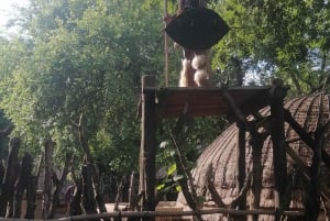 Cradle of Humankind and Lesedi Cultural Village