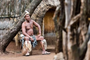 Cradle of Humankind and Lesedi Cultural Village