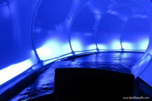 Колыбель человечества и Культурная деревня Леседи