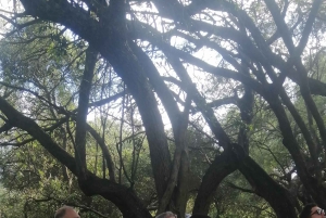 Колыбель человечества и Культурная деревня Леседи