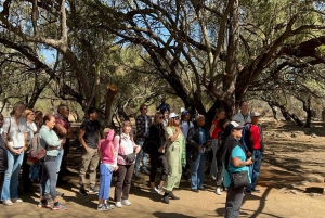 Ihmiskunnan kehto ja Lesedin kulttuurikylä