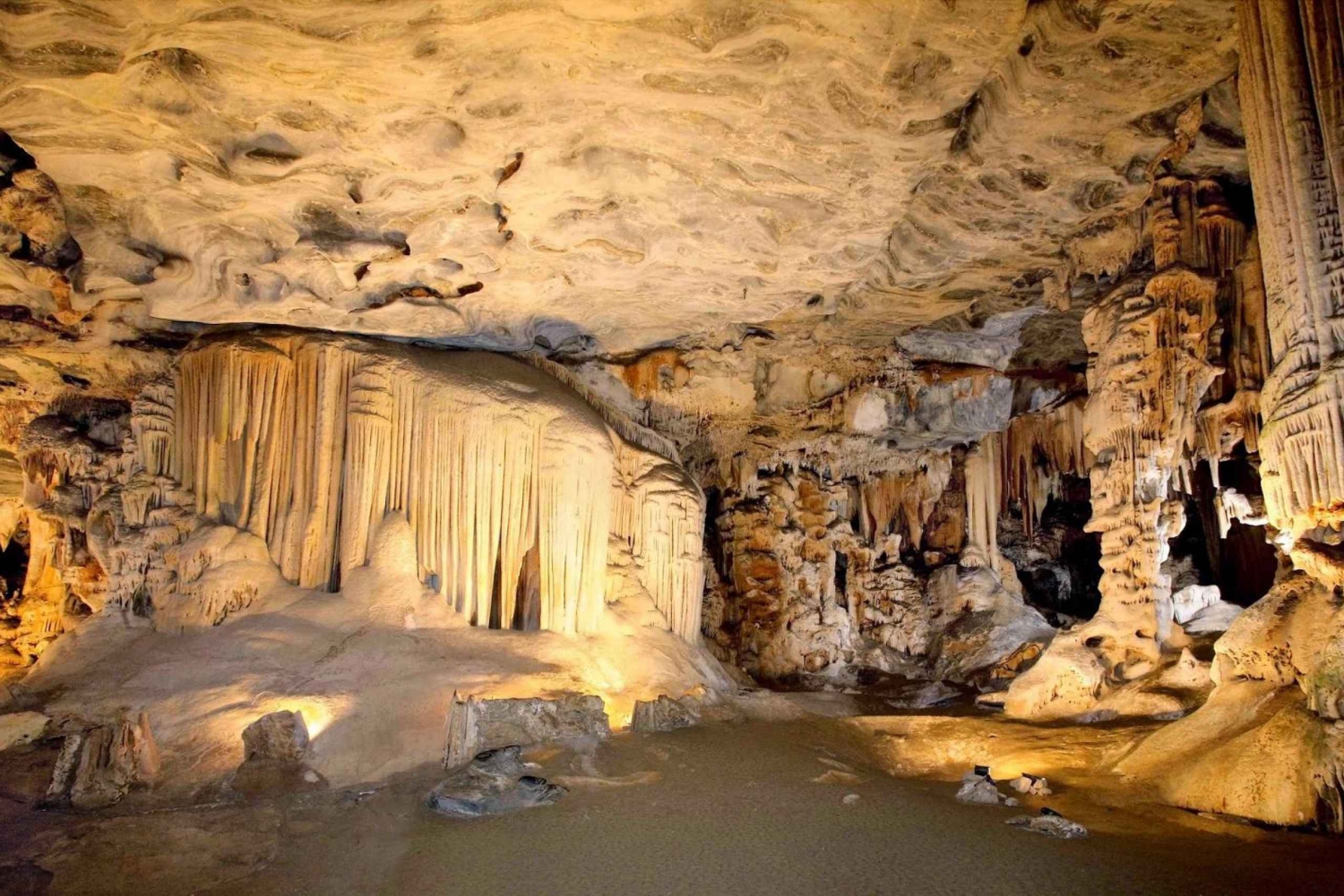 Cradle of Humankind and Sterkfontein Caves Half-Day Tour
