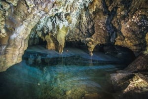 人類発祥の地とスタークフォンテーン洞窟半日ツアー