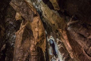 人類発祥の地とスタークフォンテーン洞窟半日ツアー