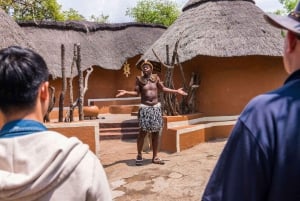 Berço da Humanidade, Aldeia Cultural Lesedi e Lion's Park