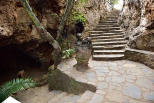 Berço da Humanidade, Aldeia Cultural Lesedi e Lion's Park