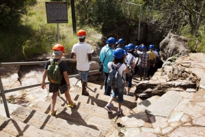 Cradle of Humankind: Shared Half-Day Tour
